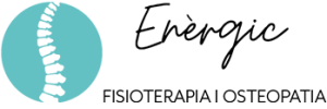 Logo Centre Enèrgic